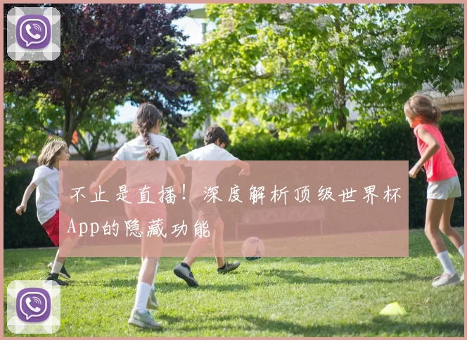 不止是直播！深度解析顶级世界杯App的隐藏功能