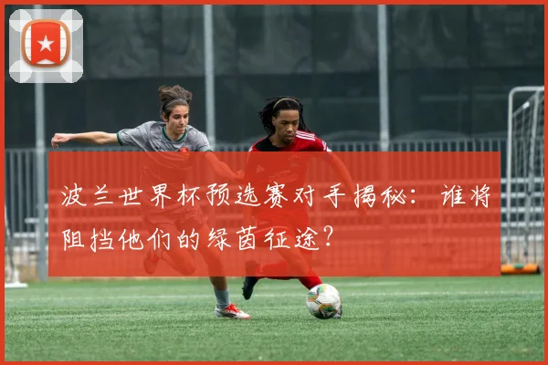 波兰世界杯预选赛对手揭秘：谁将阻挡他们的绿茵征途？