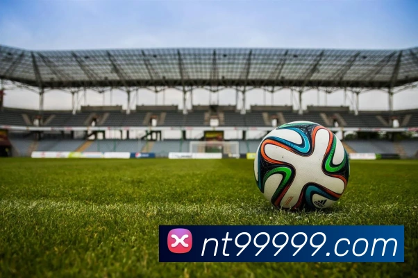 登录器